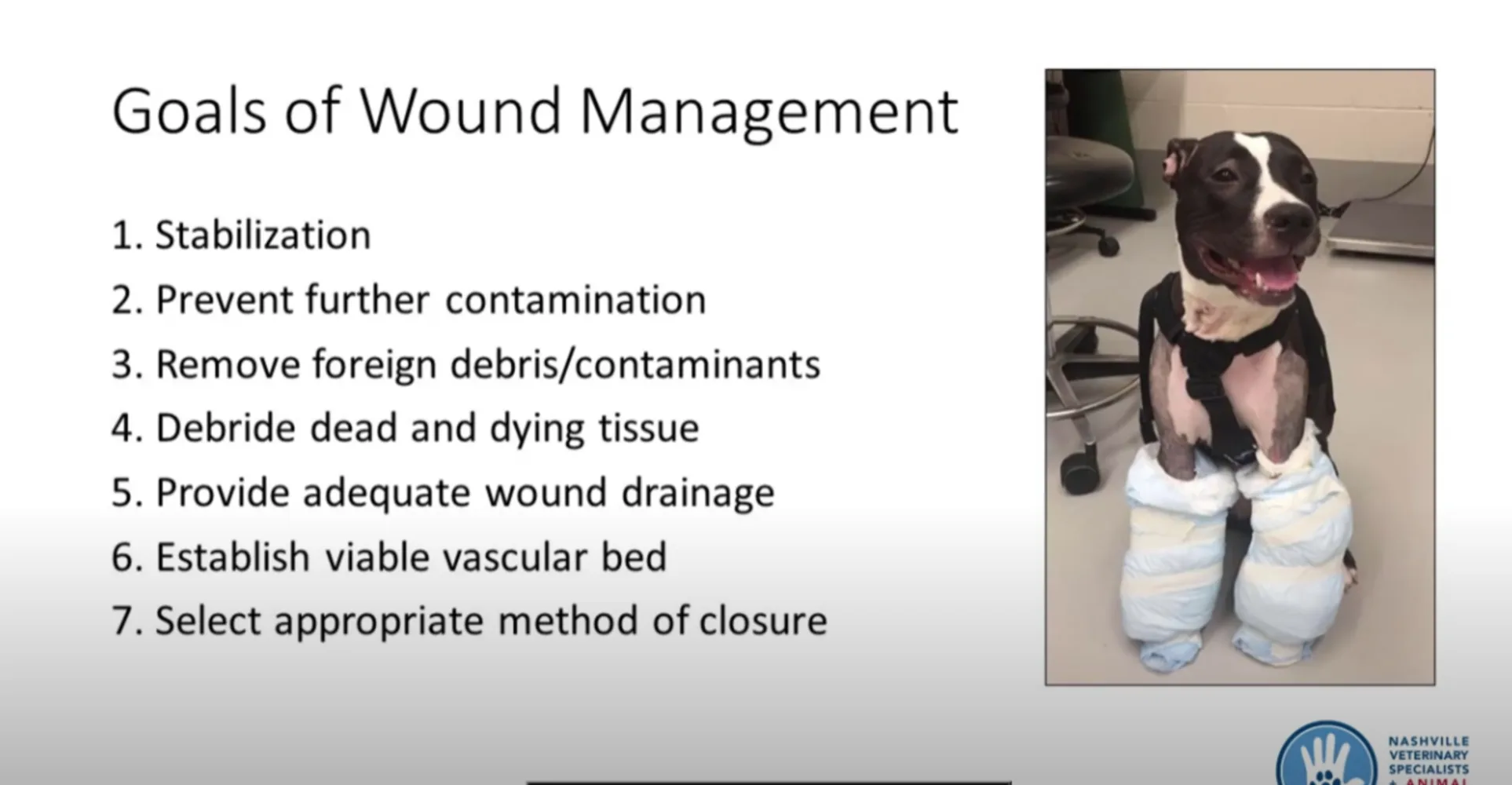 Wound Management in Veterinary Medicine Video at NVS